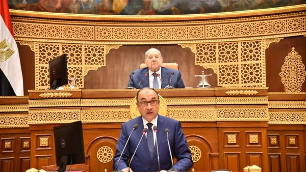 وزير قطاع الأعمال: ننفذ عدة مشروعات لتوطين التكنولوجيا الصناعية بالشركات التابعة