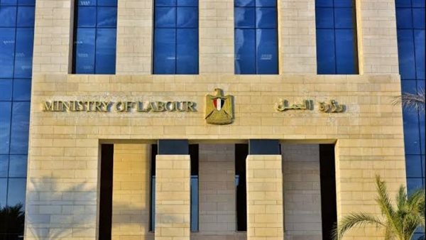 فرص عمل في قبرص براتب 88 ألف شهريا.. اعرف الشروط المطلوبة
