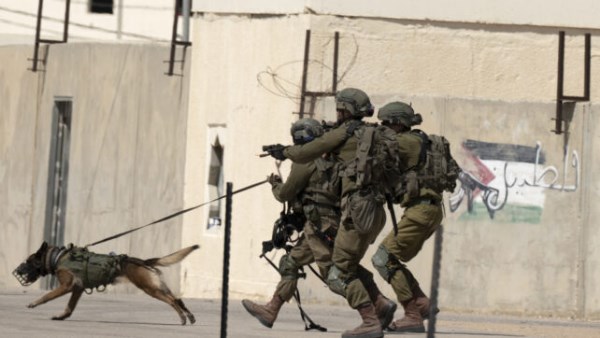 كلاب مُدربة من هولندا.. وسيلة إسرائيل الجديدة لتعذيب الفلسطينيين | شهادات من الجحيم كلاب مُدربة من هولندا.. وسيلة إسرائيل الجديدة لتعذيب الفلسطينيين | شهادات من الجحيم