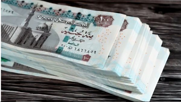 موعد زيادة المرتبات 2025.. حكومي وخاص موعد زيادة المرتبات 2025.. حكومي وخاص