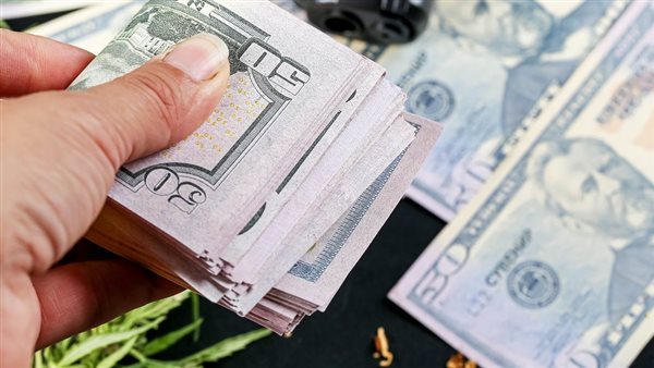 الدولار بأعلى سعر للشراء في مصرف أبو ظبي الإسلامي