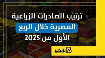 ترتيب الصادرات الزراعية المصرية خلال الربع الأول من 2025 | إنفوجراف