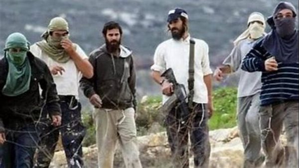 إصابة 3 فلسطينيين بالرصاص في هجوم للمستوطنين على قرية بالأغوار الشمالية