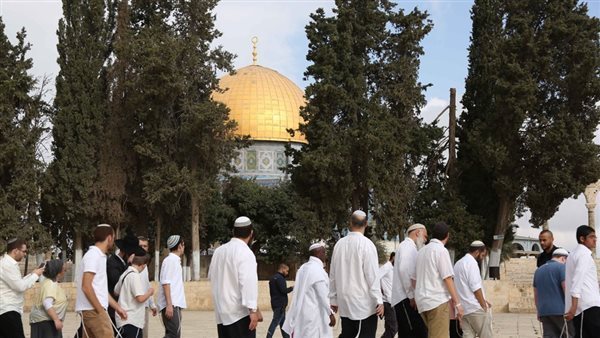 341 مستوطناً إسرائيلياً يقتحمون “الأقصى” بحماية شرطة الاحتلال 341 مستوطناً إسرائيلياً يقتحمون “الأقصى” بحماية شرطة الاحتلال