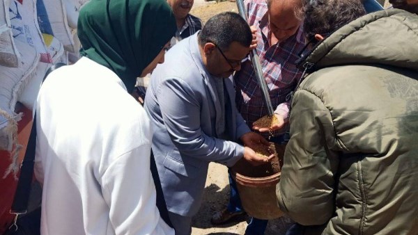 المواقع التخزينية بالشرقية تستقبل20974 طنا من القمح المواقع التخزينية بالشرقية تستقبل20974 طنا من القمح