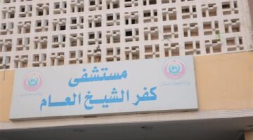 بسبب خلافات زوجية.. شاب يُنهي حياة حماته ويطعن زوجته