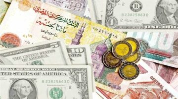 أسعار العملات العربية والأجنبية أمام الجنيه اليوم الجمعة 25 أبريل 2025