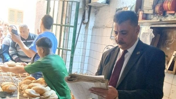 ضبط 45 كرتونة رنجة مجهولة المصدر وتحرير 210 محاضر تموينية بالمنوفية
