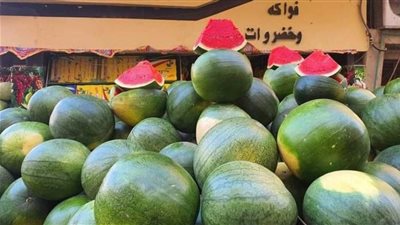 شعبة الخضراوات والفاكهة تكشف أسباب ارتفاع أسعار البطيخ وتوقعات الفترة القادمة| خاص