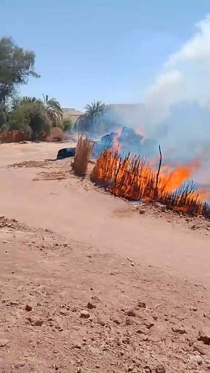 اشتعال النيران في أجران لمحصول القمح في الوادي الجديد (2)