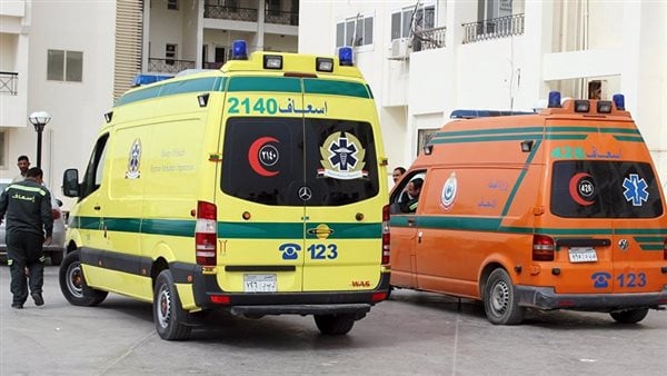 مصرع شخص سقط من أعلى شجرة بالصف في الجيزة
