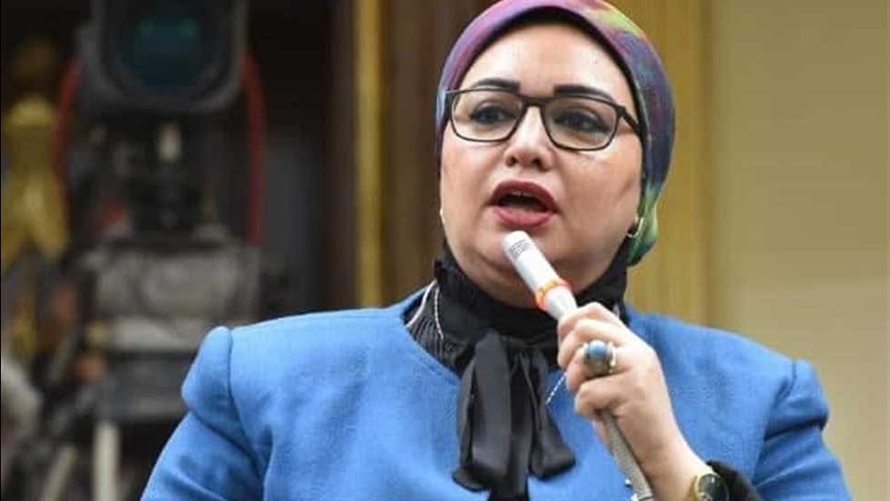 وكيل القوى العاملة بالنوا : كلمة الرئيس السيسى خارطة طريق لتحقيق السلام