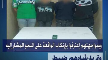الأمن يضبط المتهمين بفيديو سرقة موبايل أعلى الدائري بالجيزة