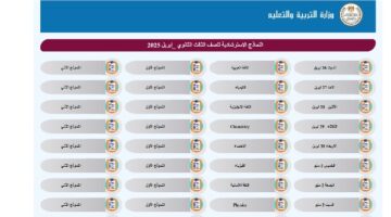 نماذج استرشادية جديدة لـ امتحانات الثانوية العامة 2025 عبر هذا الرابط