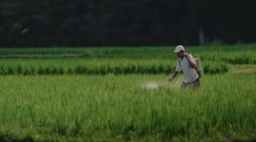 لتجنب تضرر المحاصيل.. 8 توصيات عاجلة للمزارعين