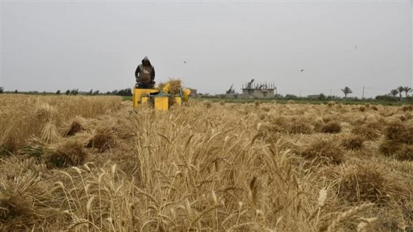 وزير الزراعة يوجه بخفض تكاليف معدات الحصاد 200 جنيه للفدان لمزارعي القمح