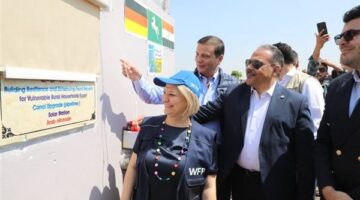 بحضور وزير الزراعة.. افتتاح موسم حصاد القمح بالشرقية