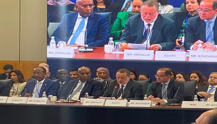 حسن عبدالله: زيادة عدد المشروعات القابلة للتمويل في إفريقيا لجذب رأس المال الخاص أصبح ضرورة