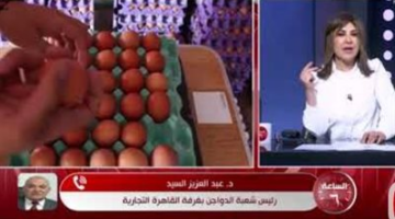 شعبة الدواجن: سعر كرتونة البيض اليوم انخفض لأقل من 100 جنيه