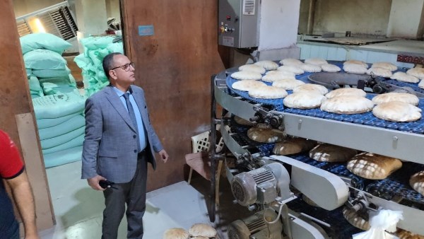 الدقهلية: ضبط أكثر من نصف طن جبن ودقيق وأسماك منتهية الصلاحية