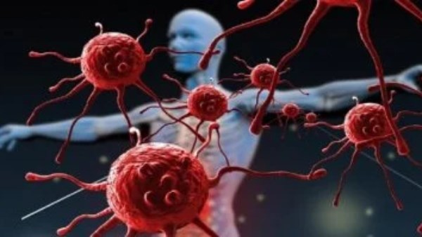 نوع خضار غير متوقع يمنع السرطان والأمراض المزمنة