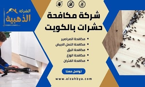 كيفية التخلص من الحشرات الصغيرة في المنزل