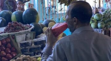 البطيخ ملك الصيف في الأقصر: الجيزة والإسكاتا يتصدران المشهد