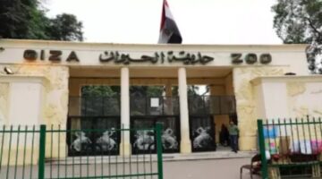 موعد افتتاح أبواب حديقة الحيوان بعد التطوير.. متحدث الزراعة يكشف