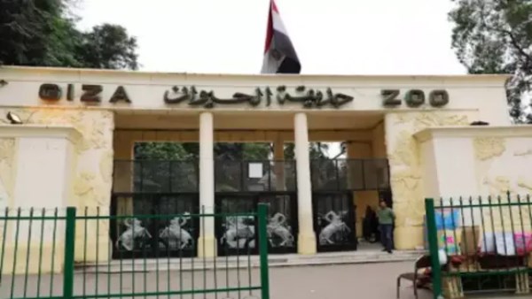 موعد افتتاح أبواب حديقة الحيوان بعد التطوير.. متحدث الزراعة يكشف موعد افتتاح أبواب حديقة الحيوان بعد التطوير.. متحدث الزراعة يكشف