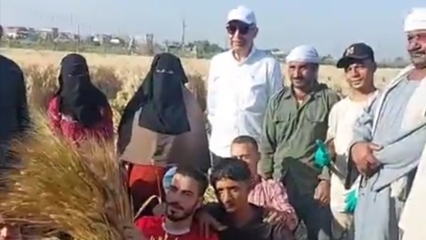 محافظ المنيا يشهد حصاد القمح بقرية التوفيقية