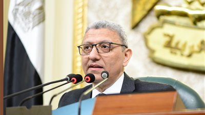 سعد الدين يحيل تعديلات قانون الجامعات الخاصة والأهلية للجان المختصة