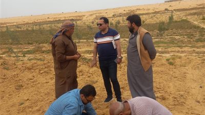 "بحوث الصحراء" يواصل دعم دمج أبناء سيناء في التنمية الزراعية المستدامة