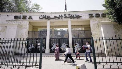 «متحدث الزراعة» يكشف حقيقة زيادة سعر تذكرة حديقة الحيوان بعد تجديدها