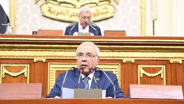 النواب يوافق مبدئيا على مشروع قانون الرقم القومي الموحد للعقارات