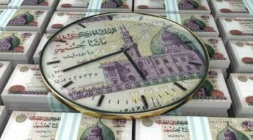 تفاصيل وشروط الحسابات الجارية للشركات بالعملة المحلية من البنك الزراعي المصري
