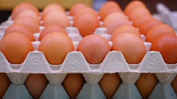 حازم المنوفي: أسعار البيض تواصل التراجع وقيمتها 4 جنيهات بدلاً من 6