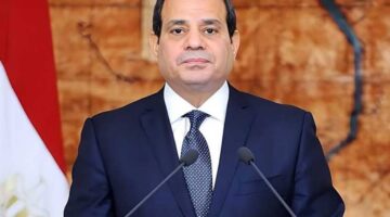 الرئيس المصري يؤكد ضرورة تكثيف الجهود لاستئناف تنفيذ اتفاق وقف إطلاق النار في غزة
