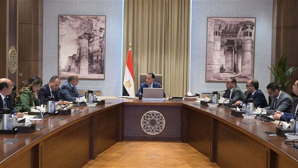 رئيس الوزراء يتابع مع وزير الكهرباء عددًا من ملفات العمل