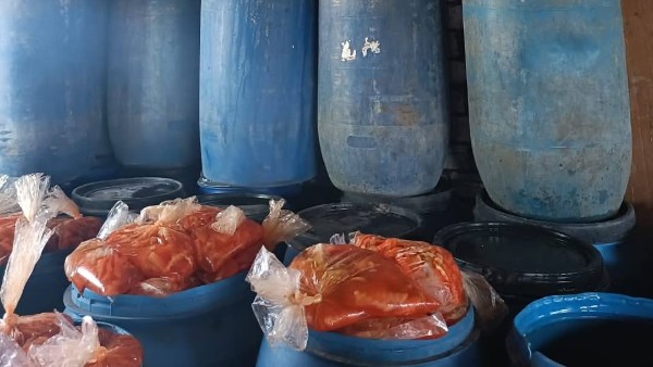 القليوبية .. ضبط كميات كبيرة من المخللات الفاسدة داخل مصنع بدون ترخيص بطوخ