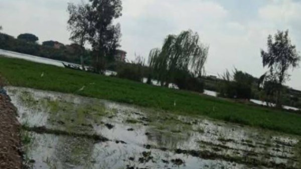 خبير مناخي ينتقد تأخر التحذيرات من غرق أراضي طرح النيل