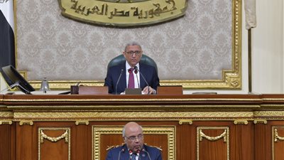 النائب عطية الفيومي: الرقم القومي للعقارات سيمنع التعديات على أراضي الدولة