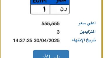 “رن-١”.. لوحة سيارة يتجاوز سعرها نصف مليون جنيه
