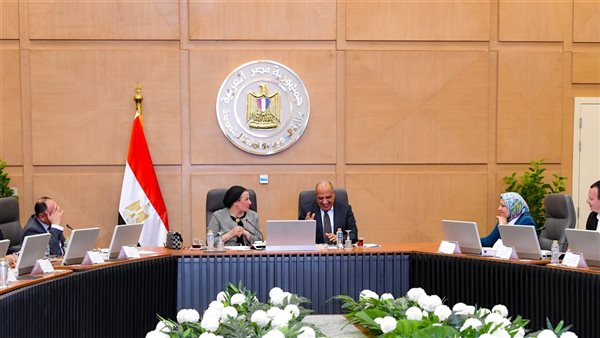 وزيرا الكهرباء والبيئة يبحثان سبل العمل المشترك والتنسيق والتعاون