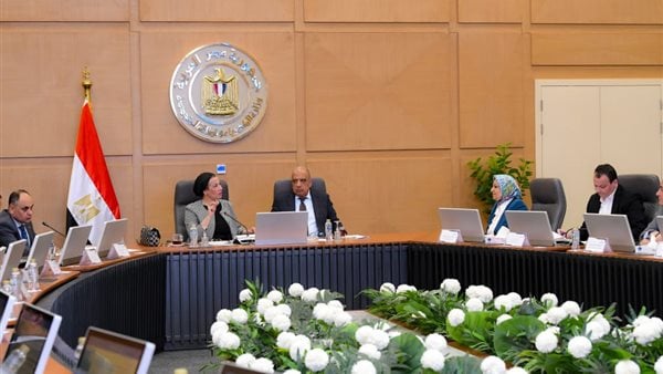 الكهرباء والبيئة تتفقان على آليات جديدة لتوافق مشروعات الطاقة مع معايير الاستدامة