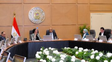 وزيرا الكهرباء والبيئة يبحثان إقامة محطات طاقة الرياح بالبحر الأحمر وخليج السويس