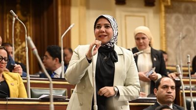 نائبة التنسيقية هيام الطباخ: قانون الثروة المعدنية يحافظ علي الثروات الطبيعية للأجيال القادمة