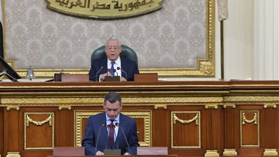 إشادة كبيرة من الأغلبية والمعارضة بمجلس النواب بمشروع قانون الثروة المعدينة وتوجيه الشكر للتنسيقية والنائب محمد إسماعيل