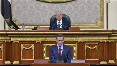 تحيا مصر ينشر نص مشروع قانون نائب التنسيقية محمد إسماعيل بشأن الثروة المعدنية بعد موافقة النواب