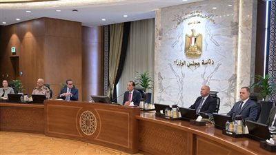 الوزراء: توفير 30% من احتياجاتها الكهربائية عبر الطاقة المتجددة بتكلفة منخفضة
