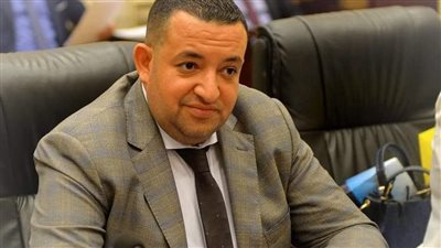 النائب تامر عبدالقادر: قانون الثروة المعدنية الجديد حلم استغلال الثروات المنسية